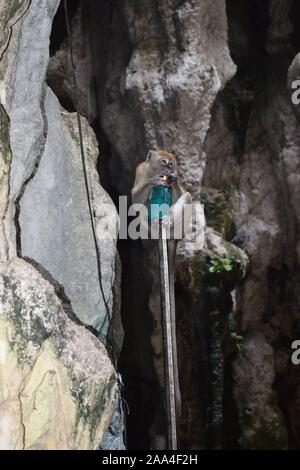 Images de grottes de Batu, un sanctuaire hindou à Selangor, Malaisie Banque D'Images