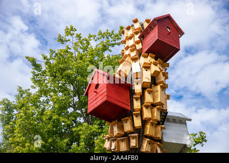 Maisons d'oiseaux colorés DIY fait de bois à la main, fixée à l'arbre scié, habitation individuelle. Banque D'Images