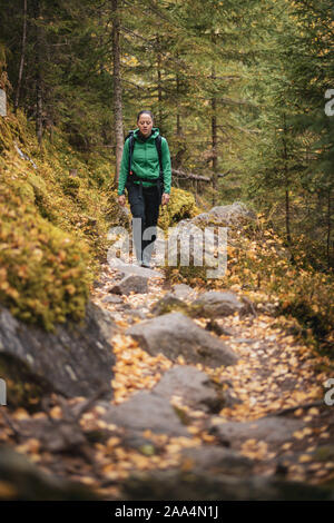 Randonnée femme dans une forêt d'automne, Bad Gastein, Salzburg, Autriche Banque D'Images