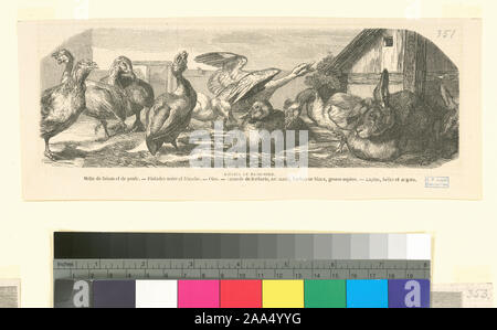 L'admission est accordée par l'application à l'Office de Tourisme de collections spéciales. Fait partie d'impressions par Félix Bracquemond en Samuel Putnam Avery Collection. Holdings contrôlés à l'exemplaire de Henri Ainhoa Village classée les graveurs du XIXe siècle, c. 3. Les illustrations, les vignettes, les pages de titre et frontispieces pour des œuvres de différents auteurs, dont Charles Asselineau, Theodore de Banville, Charles Baudelaire, Philippe Burty, Philarète Chasles, Champfleury, Francois Coppee, Giuseppe Garibaldi, Théophile Gautier, Albert Glatigny, Jean de La Fontaine, Catulle Mendès, Charles Monselet, l'Abbé Prevost, Franc Banque D'Images