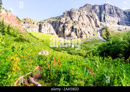 Rocky Alpine meadow de rochers et de fleurs sauvages pinceau jaune et rouge sur le sentier d'Ice Lake près de Silverton, Colorado le sommet en août 2019 l'été Banque D'Images