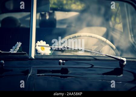 Un portrait d'un bouclier du vent et de l'essuie-glace pare-brise d'une vieille voiture antique. Commencer le verre de l'oldtimer il y a une fleur jaune et blanc en fr Banque D'Images
