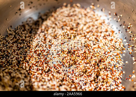 Gros plan macro de matières premières non cuit humide le quinoa rouge et blanc texture mélange avant la cuisson en chaudron en acier inoxydable préparation ingrédient Banque D'Images