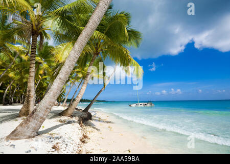Plage tropicale en mer des Caraïbes, l'île de Saona, République Dominicaine Banque D'Images