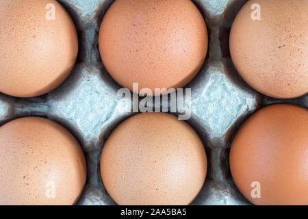 Mise à plat sur un carton d'oeufs. Banque D'Images