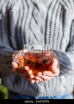 Tasse de thé dans les mains de la jeune fille, Close up photo de boissons savoureuses, macro concept de vie confortable Banque D'Images