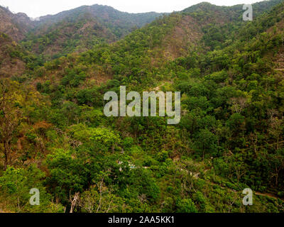 Jungle dense à Nandhour Kumaon Hills, vallée, Uttarakhand, Inde Banque D'Images