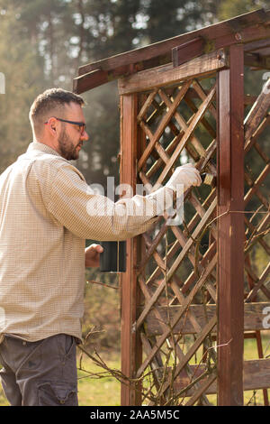 L'homme dans le jardin peint brown les planches de bois du mobilier de jardin. La rénovation et l'entretien de jardin pergolas. Banque D'Images