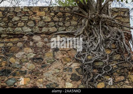 Royals de mines des Douanes, La Libertad, mine de nouvelles mines. Antiogua aammp de oro dans le La Aduana communauté dans la ville magique de Alamos Sonora, Mexique. Dans ses environs sont les Royals de Mines de la douane, la Quintera, La Nacacherán, dans le même lieu est administré par Pedro Perrón. © (© Photo : LuisGutierrez NortePhoto.com) / "Reales de Minas de la Aduana, Mina La Libertad, Minas Nuevas. Antiogua aammp de oro en la comunidad La Aduana en el Pueblo Mágico de Alamos Sonora, Mexique. En sus cercanías se hallan los Reales de Minas de la Aduana, La Quintera, La Nacacherán, en el mismo sitio la poseen don Pedro Banque D'Images