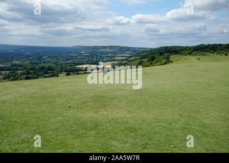 Reigate Hill, zone de la ceinture verte, des North Downs, Surrey. Banque D'Images