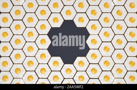 Modèle hexagonal fait d'œufs frits, avec l'espace pour les titres # 2 Banque D'Images