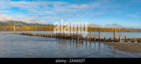 Fleuve Columbia et de la forêt environnante en vue de Camas Washington. Banque D'Images