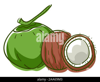 Illustration de livre ou de coco, un fruit Superfood Banque D'Images