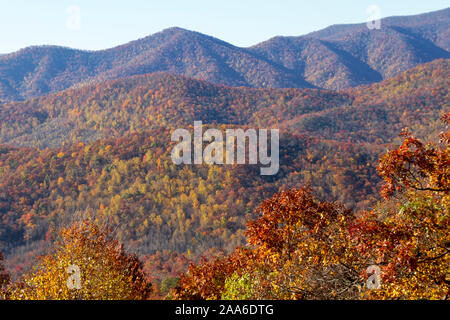 Beauté de l'Appalachian Blue Ridge Mountains brillante aux couleurs de l'automne Banque D'Images