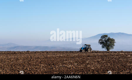 Le tracteur laboure un champ agricole Banque D'Images