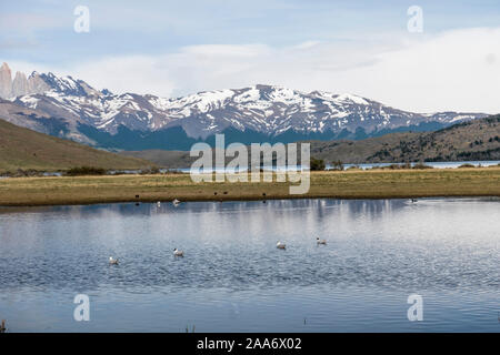 Laguna Azul, parc national Torres del Paine, en Patagonie, au Chili. Banque D'Images