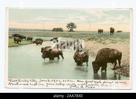 Detroit est devenu l'entreprise d'édition. Nouvelles mentions légales avec palette de l'artiste marque. Inclus des images avec les dates antérieures à 1906 ; l'eau à Buffalo. Banque D'Images