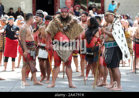 Les participants pour le Powhiri, une cérémonie de bienvenue Maori, attendre l'arrivée du Prince de Galles et la duchesse de Cornwall pour leur visite au site du Traité de Waitangi, la baie des îles, le quatrième jour de la visite royale de Nouvelle-Zélande. PA Photo. Photo date : mercredi 20 novembre, 2019. Voir histoire PA Charles ROYAL. Crédit photo doit se lire : Chris Jackson/PA Wire Banque D'Images