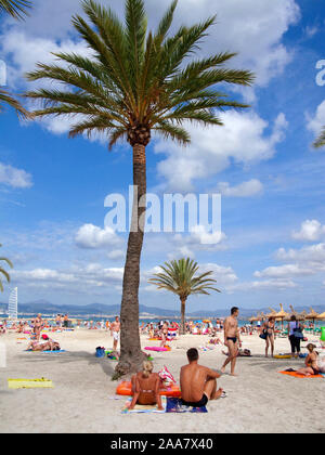 Les gens à la plage Playa de Palma, El Arenal, Majorque, îles Baléares, Espagne Banque D'Images