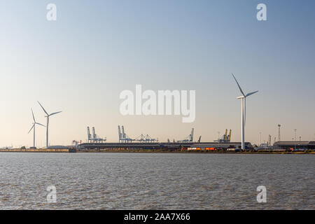 Gravesend, England, UK - 21 septembre 2010 : Les éoliennes et grues conteneurs forment l'horizon de Tilbury Docks, une partie du port de Londres Banque D'Images