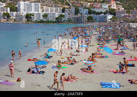 Overtourism. plage de Magaluf, Majorque, Baearic, Espagne. Banque D'Images