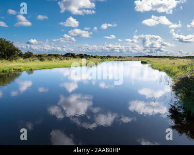 Reflet de nuages dans l'eau du canal dans le marécage sur île de Schiermonnikoog Frise occidentale, Pays-Bas Banque D'Images