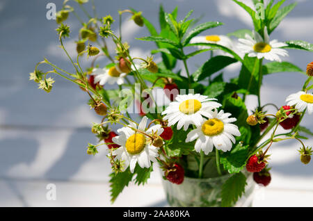 Les herbes médicinales : Branches de fraise mûre, rouge, blanc les marguerites et les feuilles de menthe dans un verre d'eau sur un moignon de bois Banque D'Images