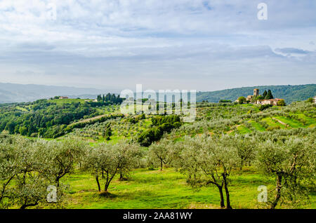 Artimino, Toscane, Italie vue magnifique sur le paysage typique. Colline en Toscane avec une ancienne église paroissiale parmi les oliviers et les cyprès Banque D'Images