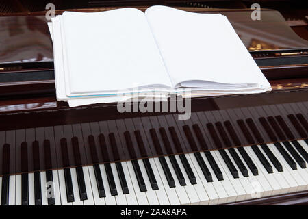 Touche Piano gros plan Banque D'Images