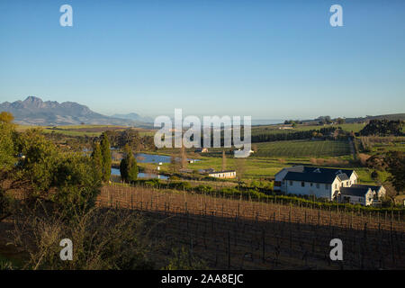 Vue sur la vallée de Devon vignobles de Stellenbosch, Afrique du Sud Banque D'Images