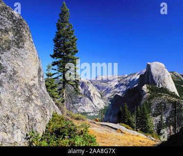 Demi Dôme considérés dans un panorama de roche polie par les glaciers-faces et les forêts de pins, vallée de Yosemite National Park, California, USA Banque D'Images