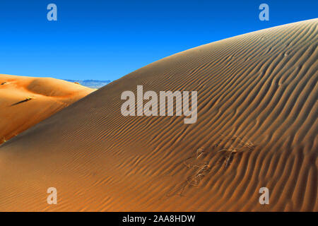 Sand-dunes dans le désert d'Oman, près de la frontière avec l'Arabie Saoudite. À Oman - Blick aufs meer Arabie Arabien Banque D'Images
