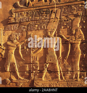 Prise grand angle de mur en pierre sculptée sur la frise au temple de Karnak, ciel bleu et de palmiers derrière, Luxor, Egypte Banque D'Images