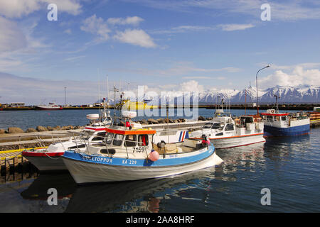 Bateaux de pêche dans le port de Dalvik sur Eyjafjordur, avec les montagnes derrière Kaldbakur, centre-nord de l'Islande Banque D'Images