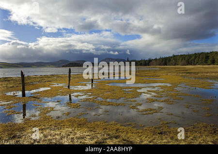 Vestiges d'un vieux le long de l'étape aux limites par l'eau-prés sur les rives du Loch Fleet avec les forêts et collines sous un ciel d'hiver moody, Nea Banque D'Images