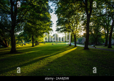 Leeds, Angleterre, Royaume-Uni - 30 juin 2015 : l'arbre d'ombres sur le parc paysager de Kirkstall Abbey dans la vallée de l'aire sur le bord de Leeds en Yorksh Banque D'Images