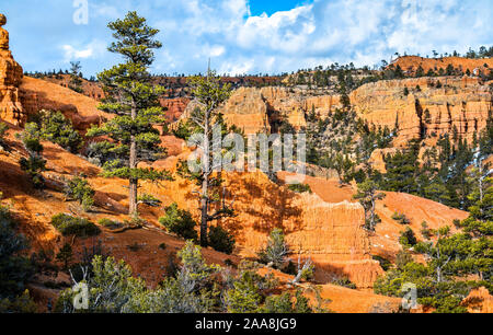 Vue sur le Red Canyon dans l'Utah, aux États-Unis Banque D'Images