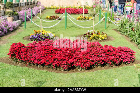 Cour avant extérieur accueil le décor de jardin avec fleurs décoratives arbres rochers et galets. Décoration très tendance idées jardin topiaire de parc extérieur. Point mort Banque D'Images