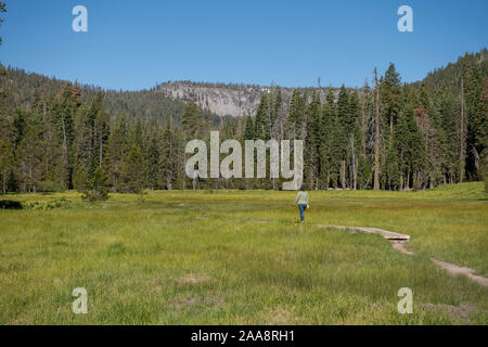 Femme marche sur boardwalk par big Green Grass Valley Banque D'Images