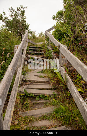 Escalier en bois délabrées, rustique sur sentier nature Banque D'Images