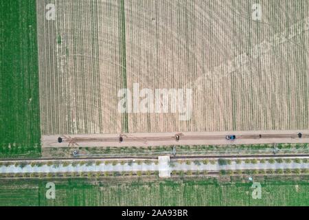 (191120) -- ZHENGZHOU, 20 novembre 2019 (Xinhua) -- photo aérienne prise le 20 novembre 2019 montre le paysage de champs de blé d'hiver près du village de Chencao Shangzhuang Canton de Xuchang Ville, province du Henan en Chine centrale. (Xinhua/Feng Dapeng) Banque D'Images