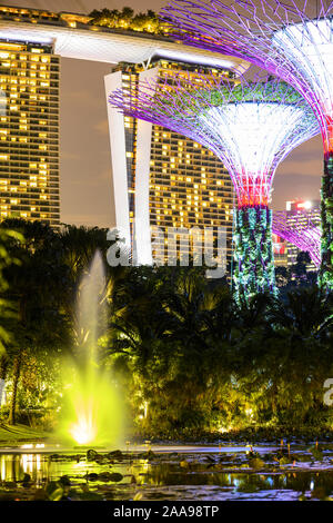 Vue rapprochée de l'allumé Supertree Grove à Singapour. Banque D'Images