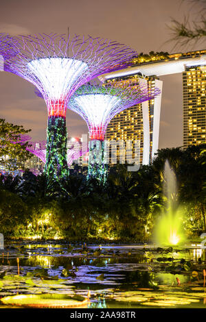 Vue rapprochée de l'allumé Supertree Grove à Singapour. Banque D'Images