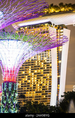 Vue rapprochée de l'allumé Supertree Grove à Singapour. Banque D'Images