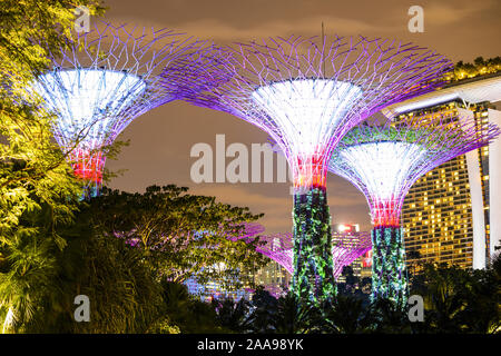 Vue rapprochée de l'allumé Supertree Grove à Singapour. Banque D'Images