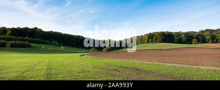 Terrain et parcelle de soleil sur prairie dans le sud du Limbourg près de Valkenburg sur sunny day Banque D'Images