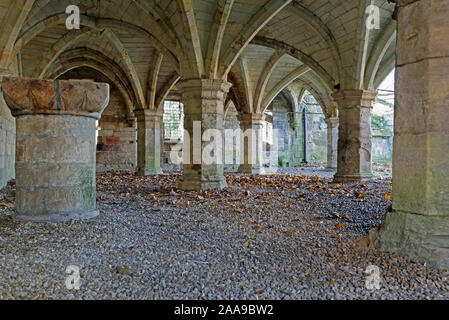Undercroft de Saint leonards, jardins, Musée de l'Hôpital York North Yorkshire UK Banque D'Images