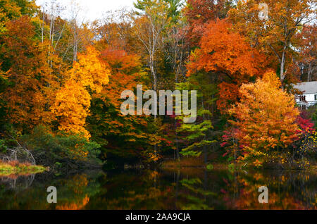 Des couleurs d'automne sur les arbres autour d'étang Banque D'Images