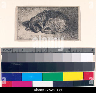 Titre et date de l'Oeuvre de Ch. Jacque catalogue de ses eaux-fortes et pointes sèches / dressé par J.J. Guiffrey. Holdings vérifiés dans l'Oeuvre de Ch. Jacque catalogue de ses eaux-fortes et pointes sèches / dressés par J.J. Guiffrey. Fait partie d'eaux-fortes et pointes sèches par Charles Jacque dans Samuel Putnam Avery Collection. Citation/Référence : G43(I/[III]), chien couché. Banque D'Images