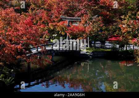 Feuillage d'automne et des couleurs dans Eikan-do Zenrin-ji et le jardin à Kyoto, au Japon. Banque D'Images